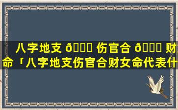 八字地支 🐒 伤官合 🍀 财女命「八字地支伤官合财女命代表什么」